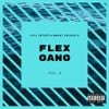 Various Artists - Flex Gang, Vol. 2