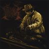Viraemia - Viraemia
