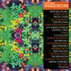 Various Artists - Kaleidoscope &ndash; New Spirits Known and Unknown