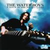 The Waterboys - A Rock in the Weary Land