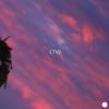 Jaden - CTV2