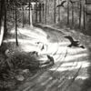 Burzum - Hvis lyset tar oss