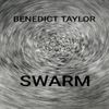 Benedict Taylor - Swarm