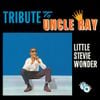 Stevie Wonder - Tribute to Uncle Ray