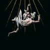 Fas – Ite, Maledicti, in Ignem Aeternum