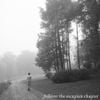 Taylor Swift - &lrm;folklore: the escapism chapter