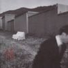 休(휴)=사람과 나무 그리고 쉼 (Phew - People, Trees and Rest)