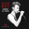 David Bowie - Ouvrez le chien [Live Dallas 95]