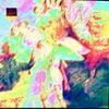 Neupink - Swordflower Hills Killer