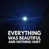 Fiore - Everything Was Beautiful And Nothing Hurt