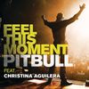 Pitbull - Feel This Moment