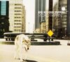 Red Hot Chili Peppers - Road Trippin'