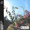 Ball Park Music - Cherub