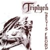 The Bevis Frond - Triptych