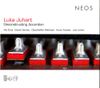 Luka Juhart - Deconstructing Accordion