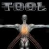 TOOL - Salival