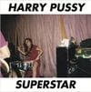 Harry Pussy - Superstar