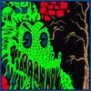 bootleg gizzard - Live in Asheville &lsquo;19