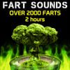 Fart Fest - Fart Sounds - Over 2000 Farts (2 Hours)