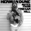 Herman Dune - Notes from Vinegar Hill