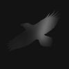 Sigur R&oacute;s, Hilmar &Ouml;rn Hilmarsson, Steind&oacute;r Andersen & Maria Huld Markan Sigf&uacute;sd&oacute;ttir - Odin's Raven Magic