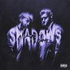 Always Never - Shadows in My Home
