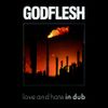 Godflesh - Love and Hate in Dub