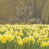 Pond - Corridors of Blissterday