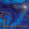 Gavin Harrison & Antoine Fafard - Chemical Reactions