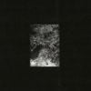 The Trees & The Wild - Zaman, Zaman