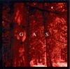 GAS - Zauberberg