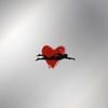Corazón Cromado