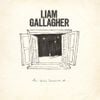 Liam Gallagher - All You're Dreaming Of