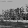 Chetta - Polluted Paradise
