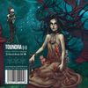 Toundra - III