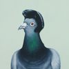 Micko & The Mellotronics - &frac12; dove &ndash; &frac12; pigeon