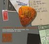 Jerry Garcia Band - Pure Jerry: Coliseum, Hampton, VA, November 9, 1991