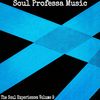 Soul Professa - The Soul Experience: Volume 9