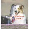 Strawberry Addiction - pepsi dog!