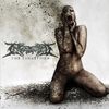 Ingested - The Surreption