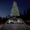 100 gecs - sympathy 4 the grinch