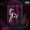鬱P [Utsu-P] - GALAPAGOS