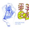 Destroyer - Your Blues