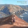 Too Many Suns - Meaning of Light