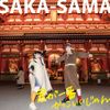 SAKA-SAMA - 君が一番かっこいいじゃん