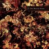 Various Artists - One Minute Older