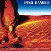 Pino Daniele - Non calpestare i fiori del deserto