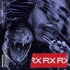 Jeune Loup - RX