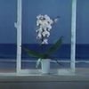 desert sand feels warm at night - 水に流す [Forgive & Forget]