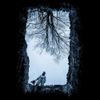 lael - im all alone